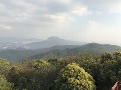 -东莞市大岭山森林公园