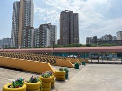 -白云驾校(樟树林校区)