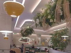 -Aqua Oasis 水天堂(太湖中心mall店)