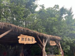 -乌村