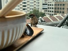 -BAKER&SPICE(环贸店)
