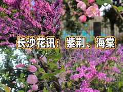 -洋湖国家湿地公园