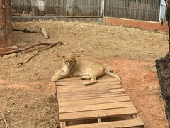 -昆明动物园