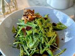 翡翠丝瓜尖-雀蓝川菜(奥体广场店)