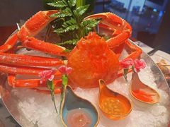 -Mr.Fish鱼鲜生海鲜放题(高德置地冬广场店)
