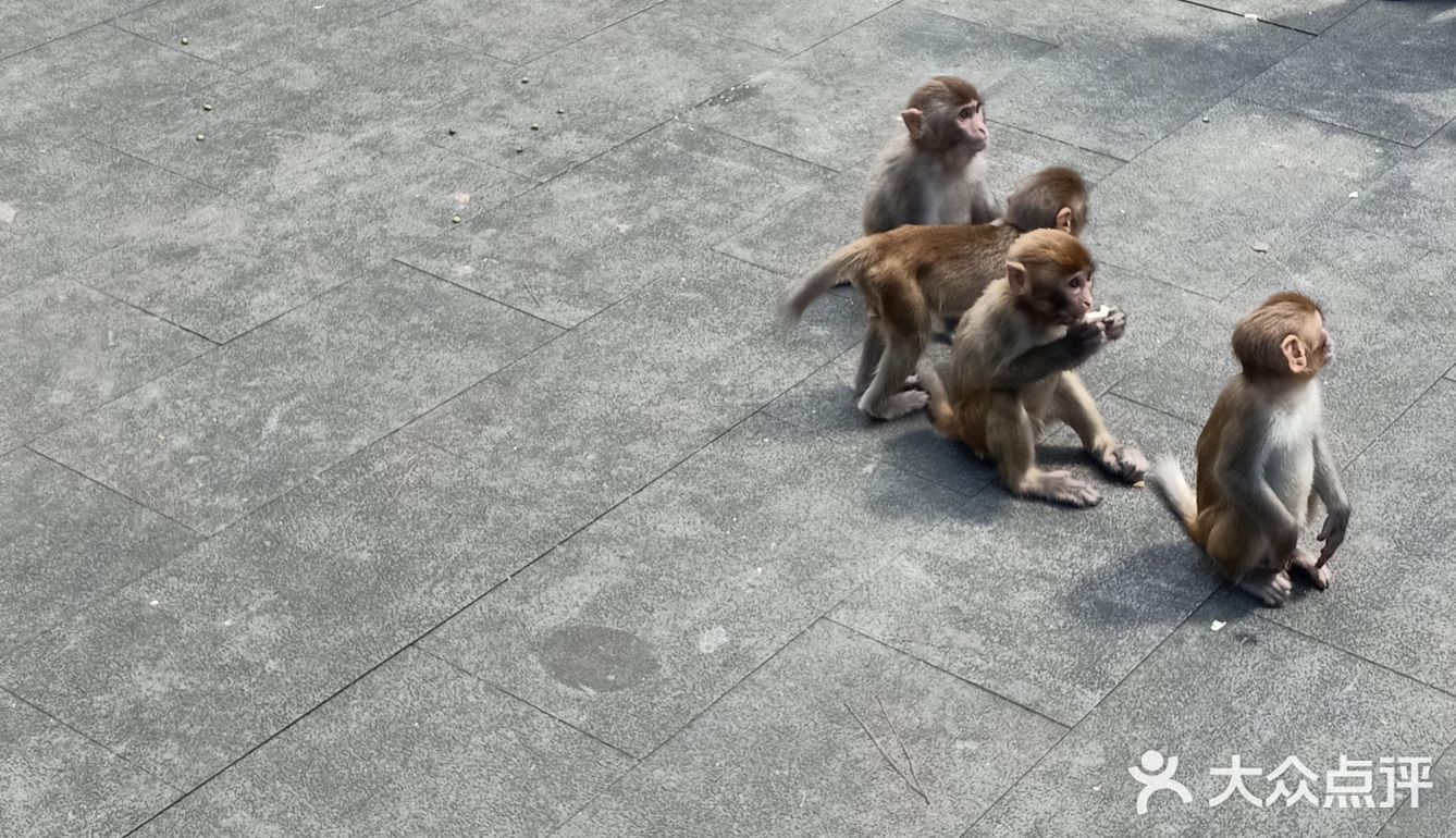 甚有移步换景,咋舌称奇,乐中其中,言就未尽
