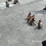 甚有移步换景,咋舌称奇,乐中其中,言就未尽