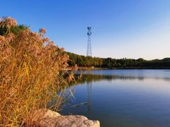 -大兴滨河森林公园