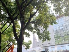 -中国地质大学逸夫博物馆