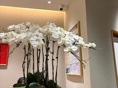 -月龍吟(朝龙汇店)