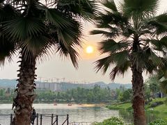 -枫香湖儿童公园