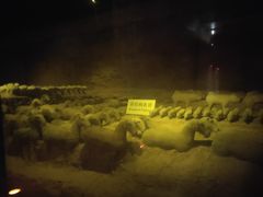 -汉景帝阳陵博物院