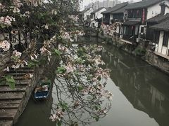 -檀园