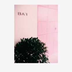 -FAB HAIR CLUB