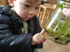 -七天萌宝·玛利娅蒙特梭利国际儿童之家(夏驾汇校区)