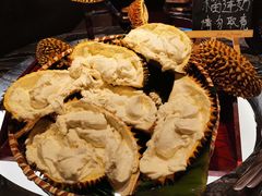 -青岛富力艾美酒店