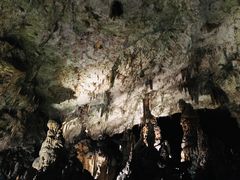 -波斯托伊纳溶洞