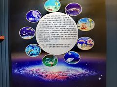 -中华赏石园
