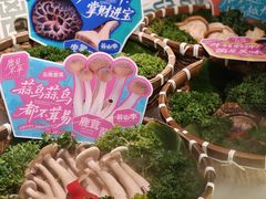 -芸山季·云南山珍菌火锅(人民广场来福士店)