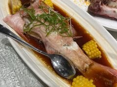 清蒸东星斑-金八仙酒店