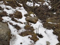 -硗碛藏寨·神木垒景区