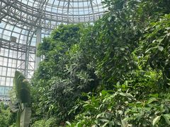 -郑州植物园