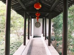 -上海醉白池公园