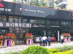 珠海尊车汇贴膜王国-珠海尊车汇龙膜精英店