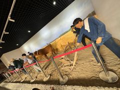 -河北村民俗体验园