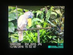 -Warung Babi Guling Ibu Oka 3