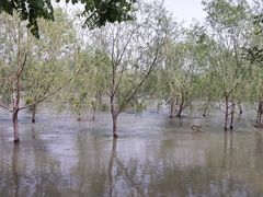 -永定河休闲森林公园