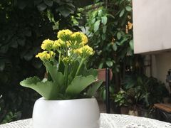 -默迹咖啡馆