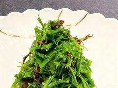 -子福慧(虹桥店)