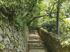 -莫干山风景区