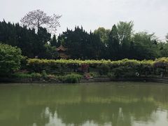 -嘉定紫藤园