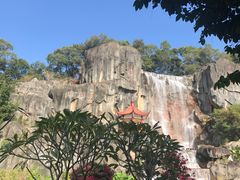 -金鸡山公园