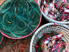 -碧桂园十里银滩