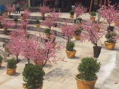 -易生活购物公园
