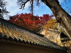 -青岛崂山太清宫