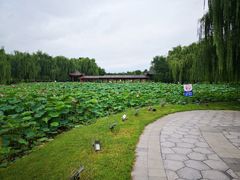 -云居湖