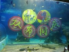 -左海海底世界