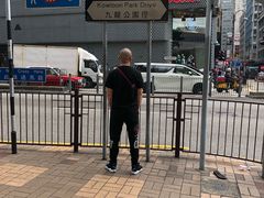 -九龙公园