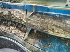 -四海蒸鲜蒸汽海鲜自助(北戴河店)