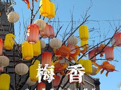 -龙湖星悦荟(颐和店)