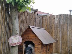 -HERRE·FARM 赫尔露营农场·团建聚会包场