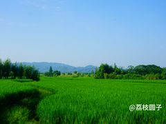 -良渚古城遗址公园