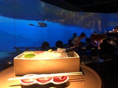 -地球美食剧场