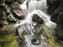 -牛背梁国家森林公园
