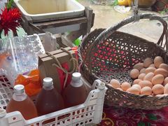 -马陆小张葡萄园农家乐