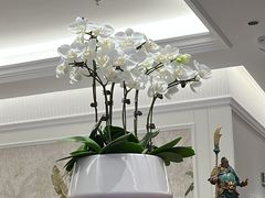 -頂好酒家·经典粤菜(海信广场店)